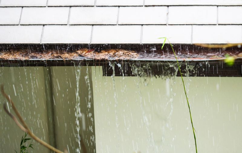 Downspout Blockage Removal in Annapolis, MD