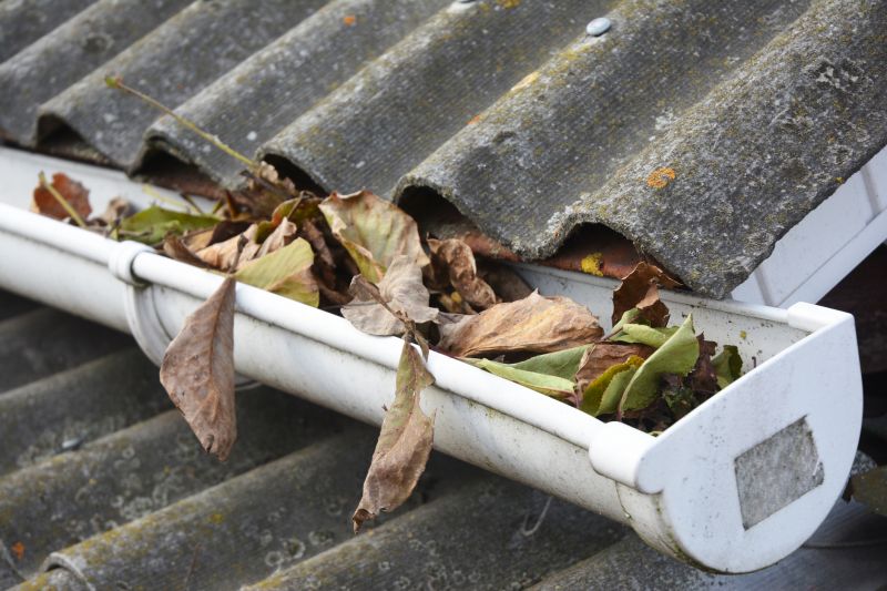 Clogged Gutter Clearing in Richmond, VA