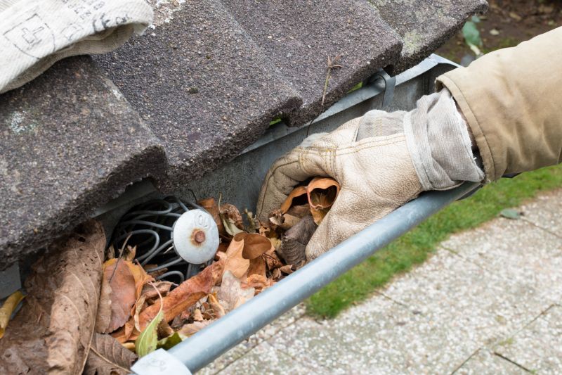 Clogged Gutter Clearing in Longmont, CO