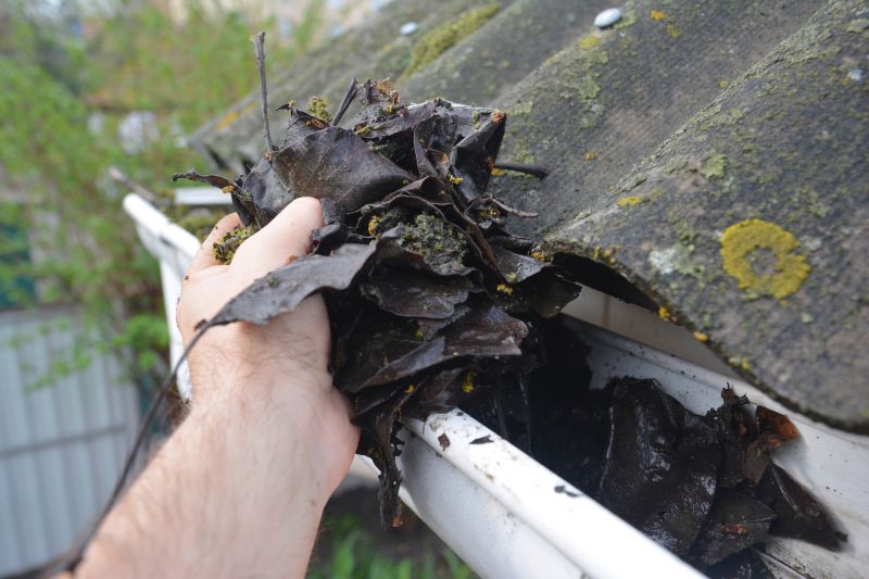 Gutter Cleaning in Westchester County, NY