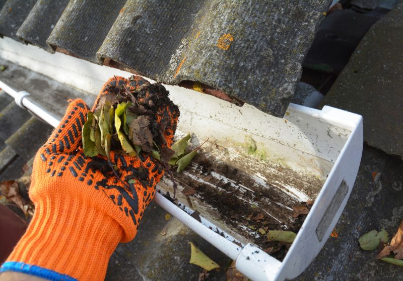 Gutter Leaf Clearing in Long Island, NY
