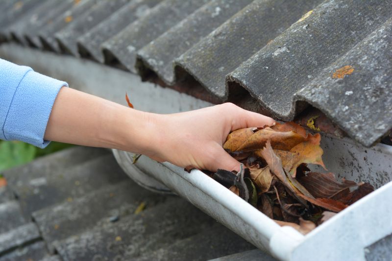 Gutter Leaf Clearing in Morris County, NJ