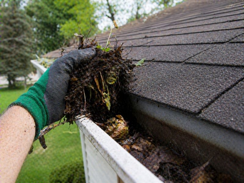 Gutter Leaves Removal in Morris County, NJ
