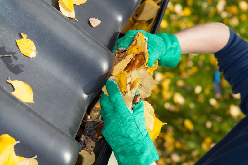 Gutter Leaves Removal in Richmond, VA