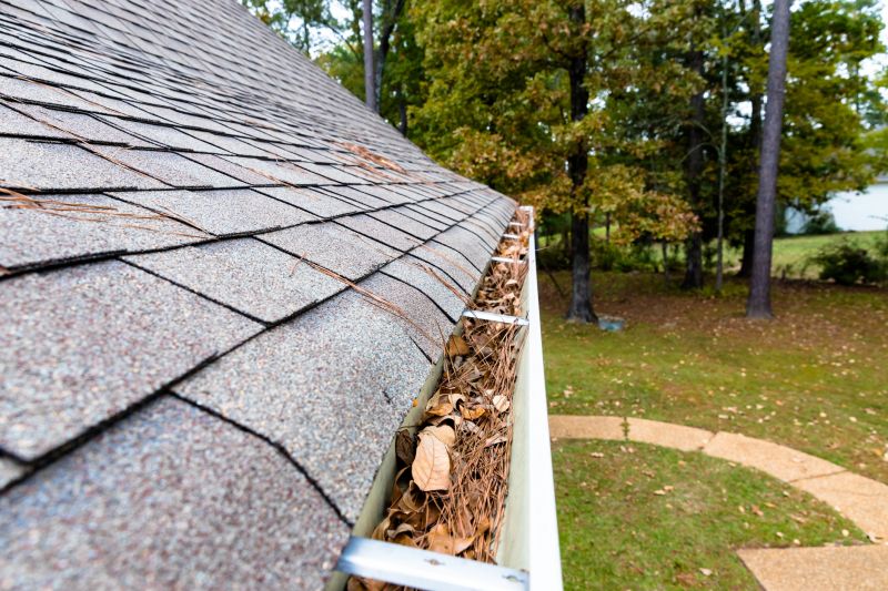 Gutter Pine Needle Removal in Westchester County, NY