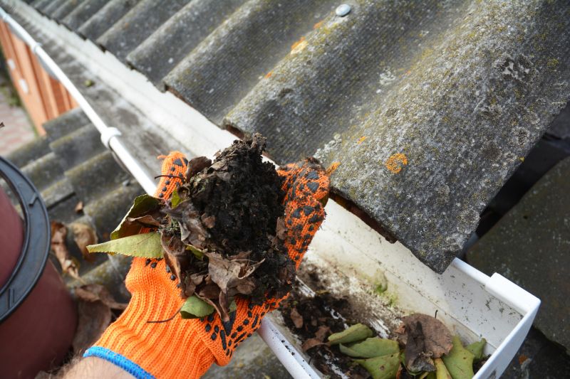 Roof Gutter Cleaning in Frederick, MD